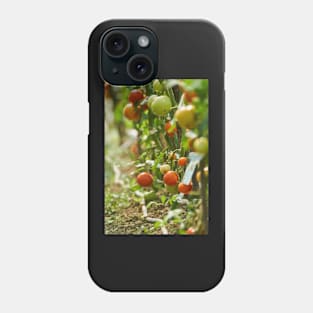 Homegrown tomatoes in the greenhouse Phone Case