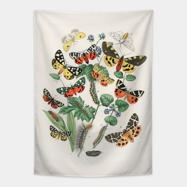 A kaleidoscope of fluttering butterflies and caterpillars (1882) Tapestry by WAITE-SMITH VINTAGE ART