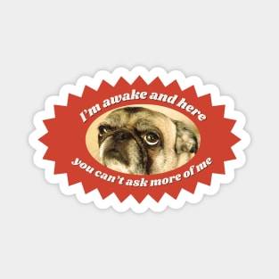 Tired Pug Funny Dog Design Magnet