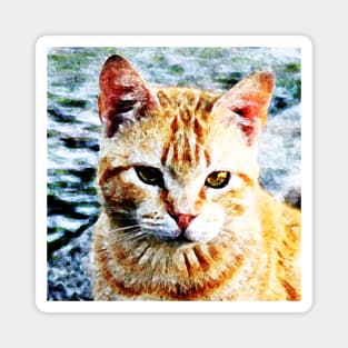 Young Yellow Cat Portrait Magnet