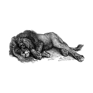 Sleepy lion in black and white T-Shirt