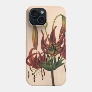 Turk's-cap Lily-Available As Art Prints-Mugs,Cases,Duvets,T Shirts,Stickers,etc Phone Case