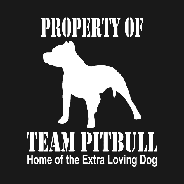 PROPERTY OF TEAM PITBULL by key_ro