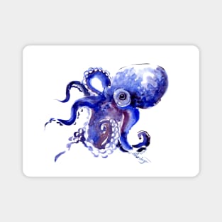 Octopus Magnet