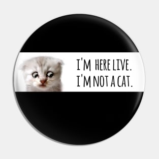 I'm here live. I'm not a cat. Pin