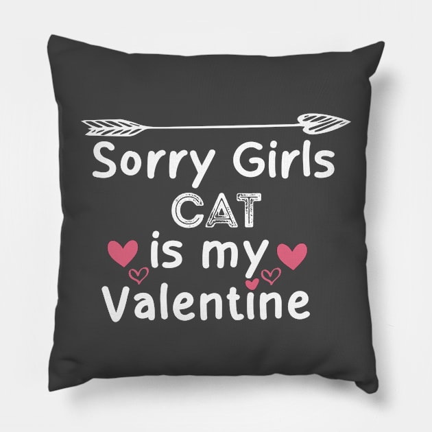 sorry girls CAT my  valentine Pillow by boufart