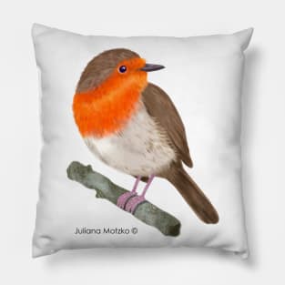 Robin RedBreast Bird Pillow