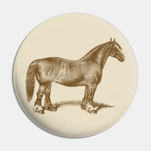 Draft Horse Mare Vintage Illustration Pin