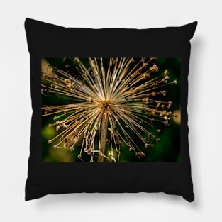 Botanical Pillow