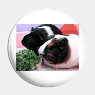 Guinea Pigs - Georgia & Twinkle Pin