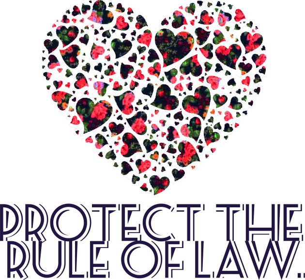 Protect the Rule of Law. Kids T-Shirt by ericamhf86