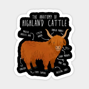 Highland Cow Anatomy Magnet