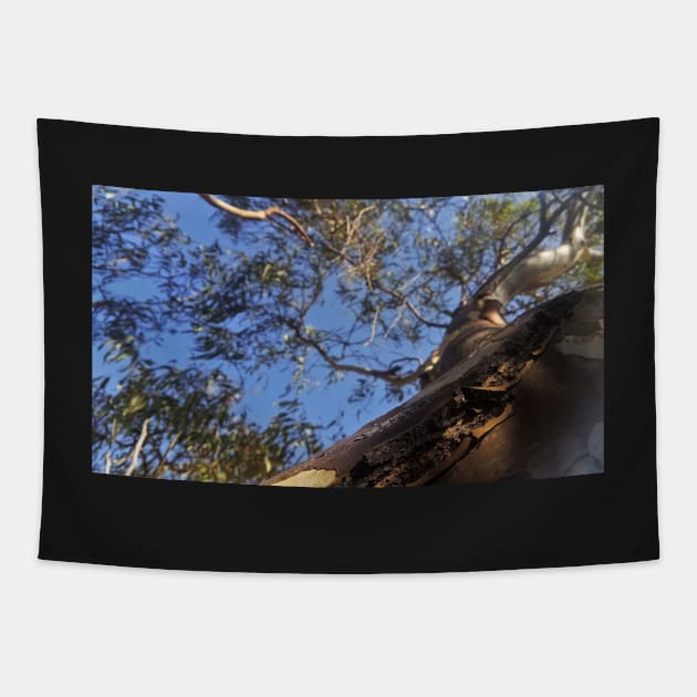 Tree perspective Tapestry by Evangelos4