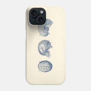 Brain Diagram - Three Views - Vintage Anatomy Phone Case