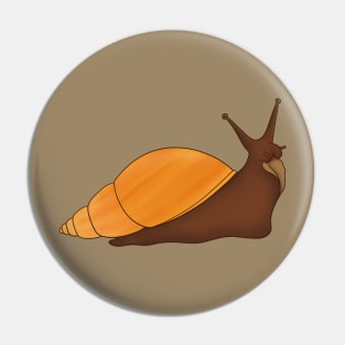 Giant African Land Snail, Achatina fulica, rodatzi Pin