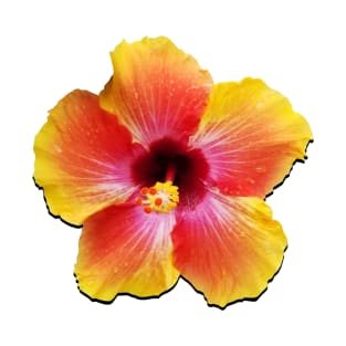 Hibiscus T-Shirt