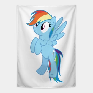 scrunchy face Rainbow Dash Tapestry