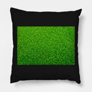 Ricefield. Pillow