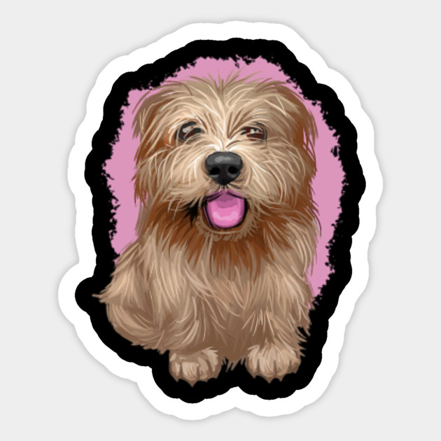 Art Norfolk Terrier Face Norfolk Terrier Smile Norfolk Terrier Dog