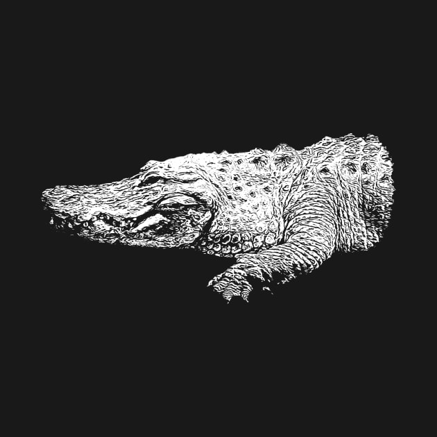 Alligator by Guardi