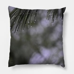 Pine Branch Border Pillow