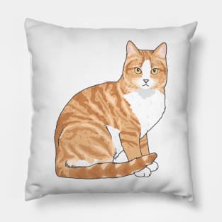 Orange Tabby Cat Pillow