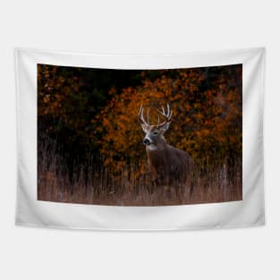 Early fall rut - White-tailed Deer Tapestry