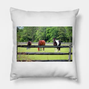 Beautiful Horses In The Pasture Pillow