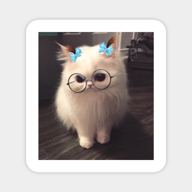 This snapchat filter on my cat Magnet by DankSpaghetti
