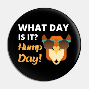 What Day Is It? Hump Day! Pin