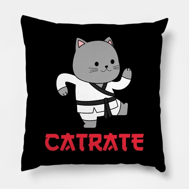 CUTE KARATE CAT JAPANESE Pillow by JWOLF