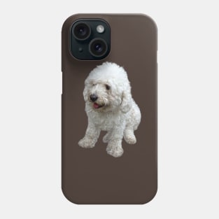 Maltipoo Puppy Phone Case