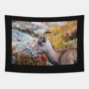 Rocky Mountain Bighorn Tapestry