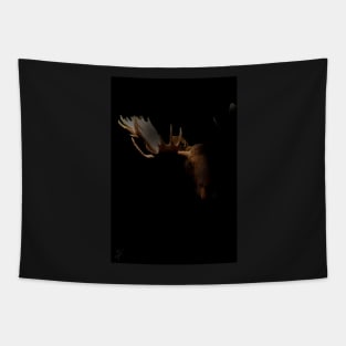 Moose stare Tapestry