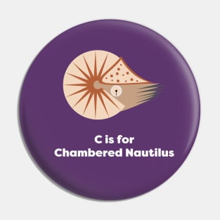 Chambered Nautilus Pin