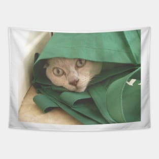 Funny cat in a bag Tapestry