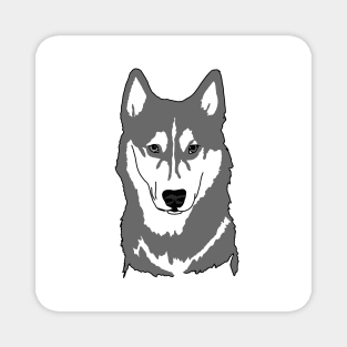 Gray and white husky with wall eyes Magnet