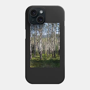 Aspen Phone Case