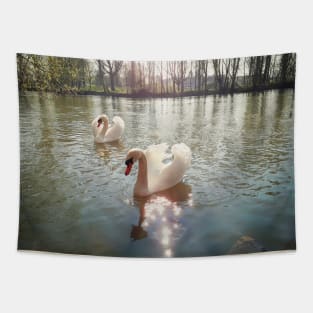 white swans Tapestry