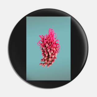 Grevillea on turquoise Pin