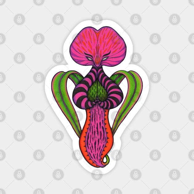 Pitcher plant praying Magnet by Namtan's Hands