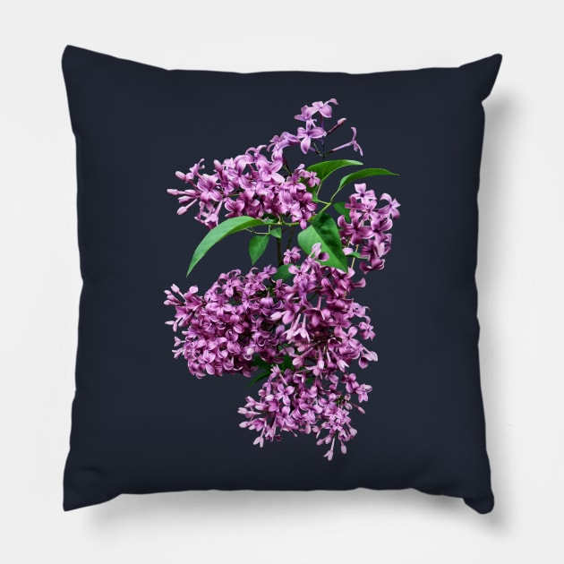 Lilacs - Elegant Lilacs Pillow by SusanSavad
