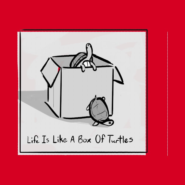 A box of turtles by Sunhat Bird