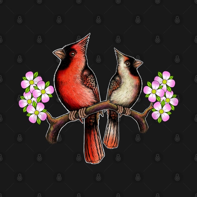 Red Cardinal dogwood flower North Carolina Virginia male female birds by Artardishop