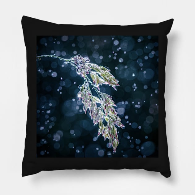 Meadowgrass in Rain Pillow by TonyNorth