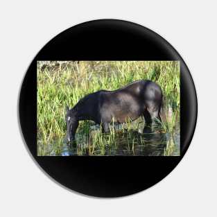 Wild Horse Pin