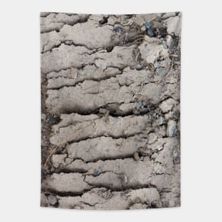 Arid mud flats cut Tapestry