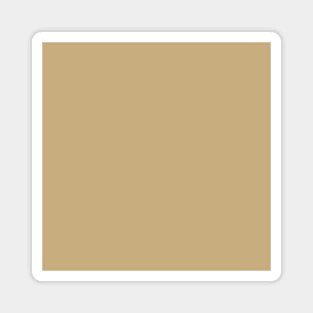 PLAIN SOLID Light French Beige Magnet