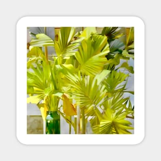 Palm Leaves with Green Bottle Magnet