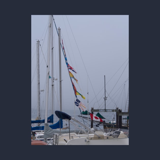 Sailboat Flags at Harbor by KarenZukArt